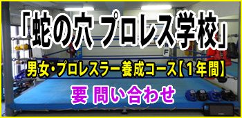 C.A.C.C.スネークピットジャパン OFFICIAL WEBSITE